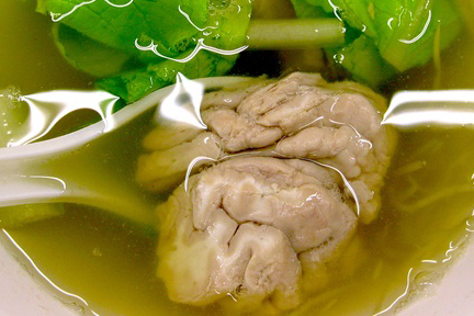 Pig's brain soup 